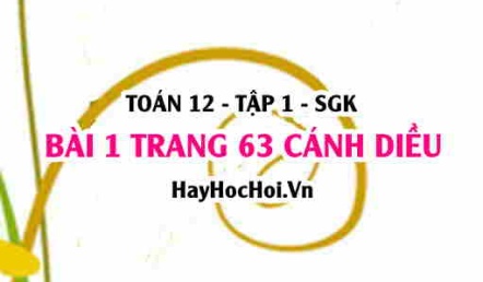 Bài 1 trang 63 Toán 12 tập 1 Cánh Diều
